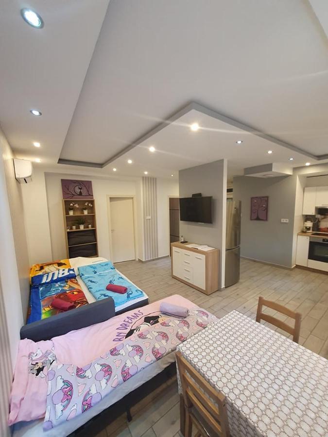 Viola Apartman With Infra Sauna Lägenhet Szeged Exteriör bild